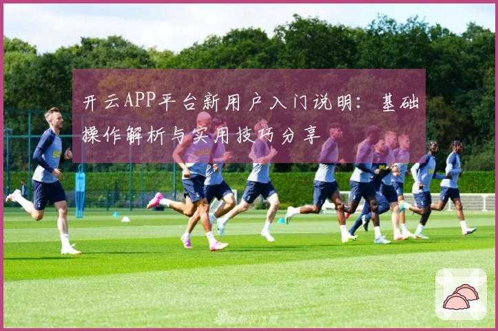 开云APP平台新用户入门说明：基础操作解析与实用技巧分享